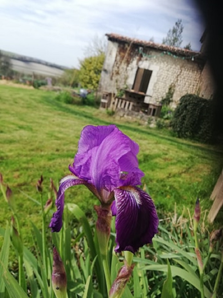 GreenGo Gîte Nouvelle-Aquitaine Gîte de groupe