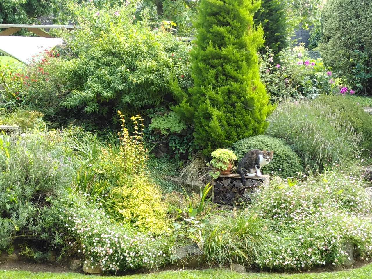 GreenGo Gîte Normandie En ville