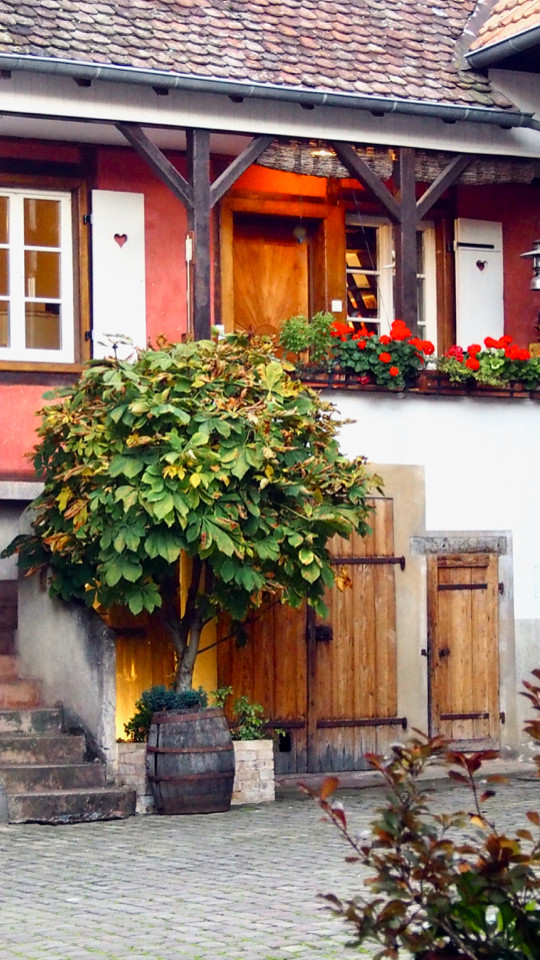 GreenGo Gîte Grand Est Évasion