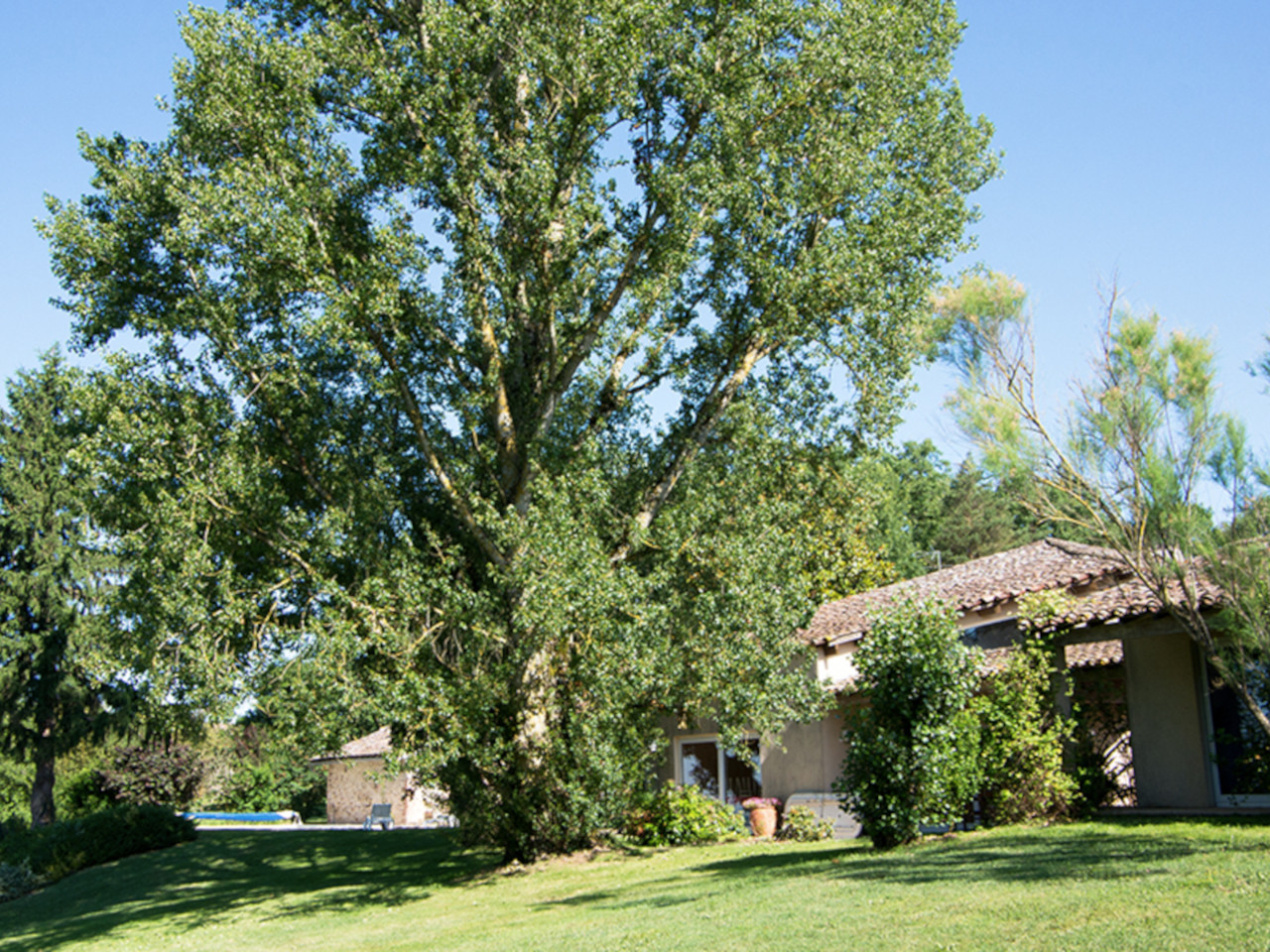GreenGo Gîte Occitanie Gîte de groupe