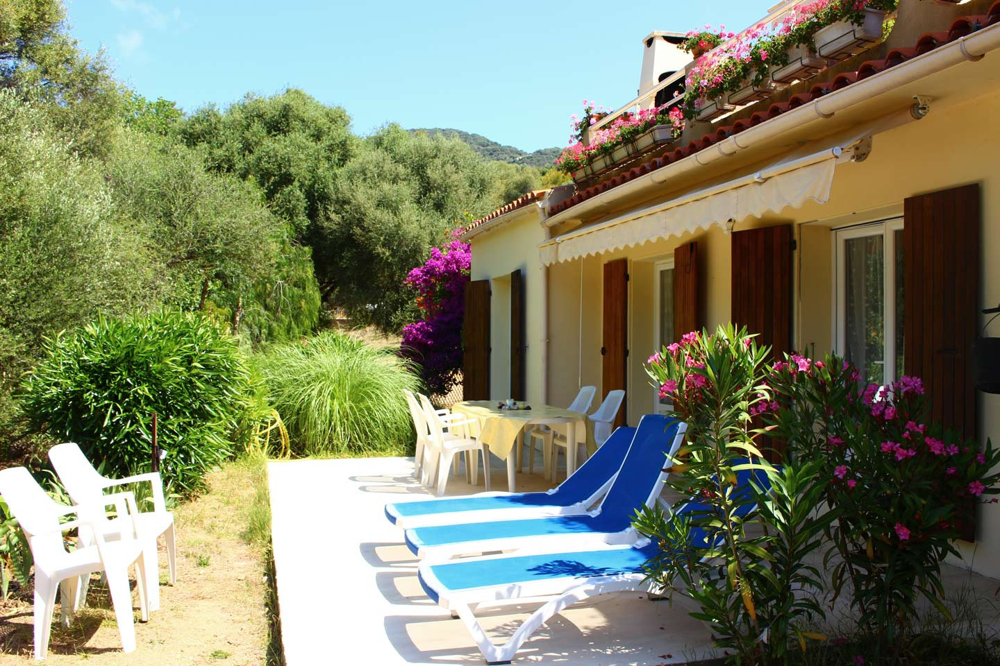 GreenGo Location Corse Évasion