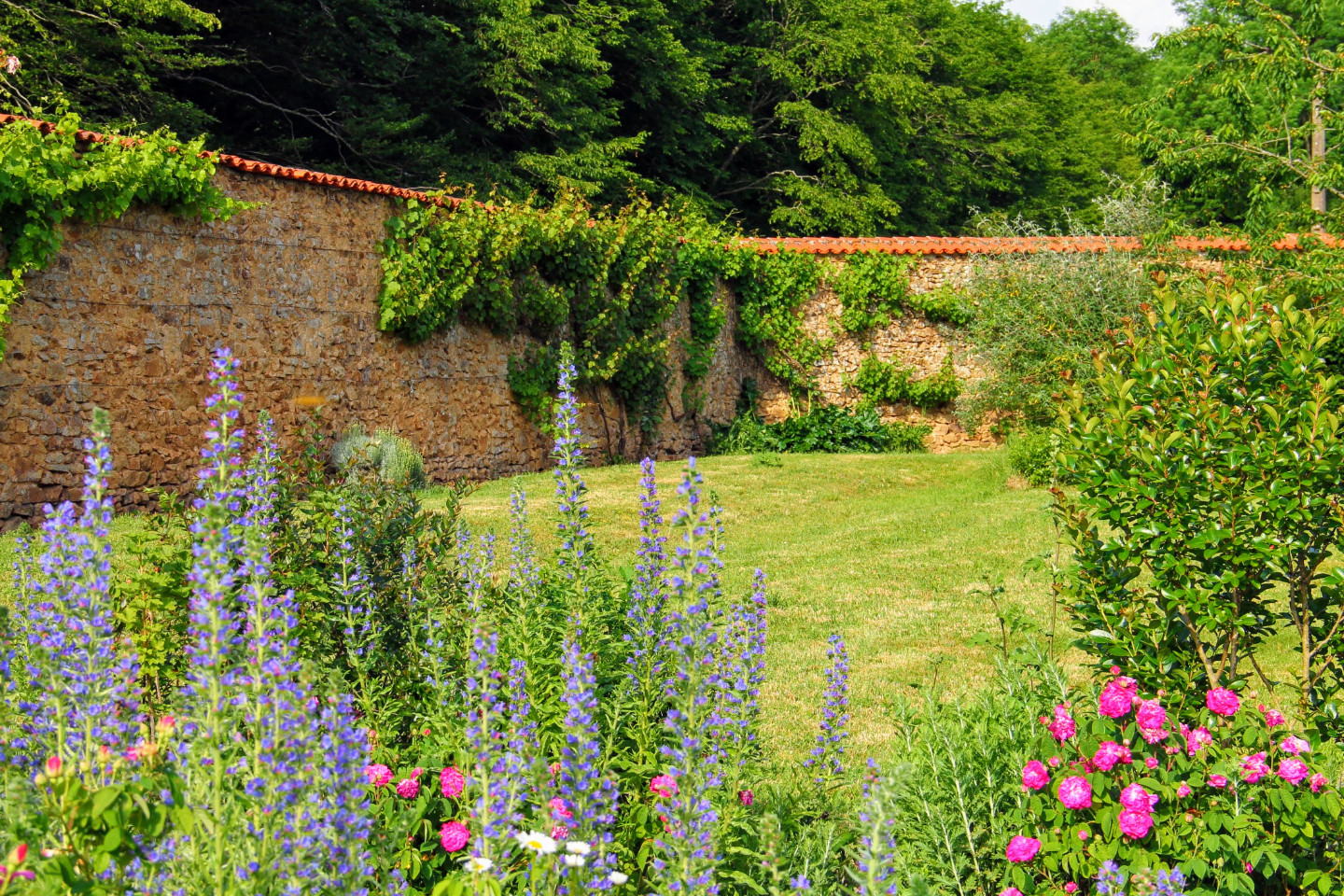 GreenGo Gîte Nouvelle-Aquitaine Évasion