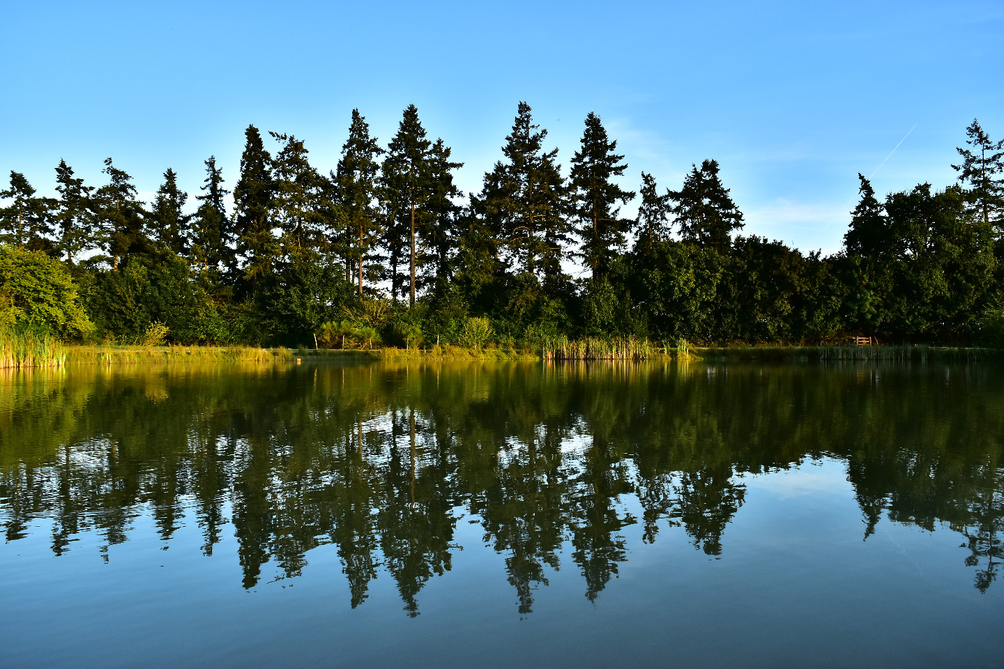 GreenGo Gîte Pays de la Loire À la campagne