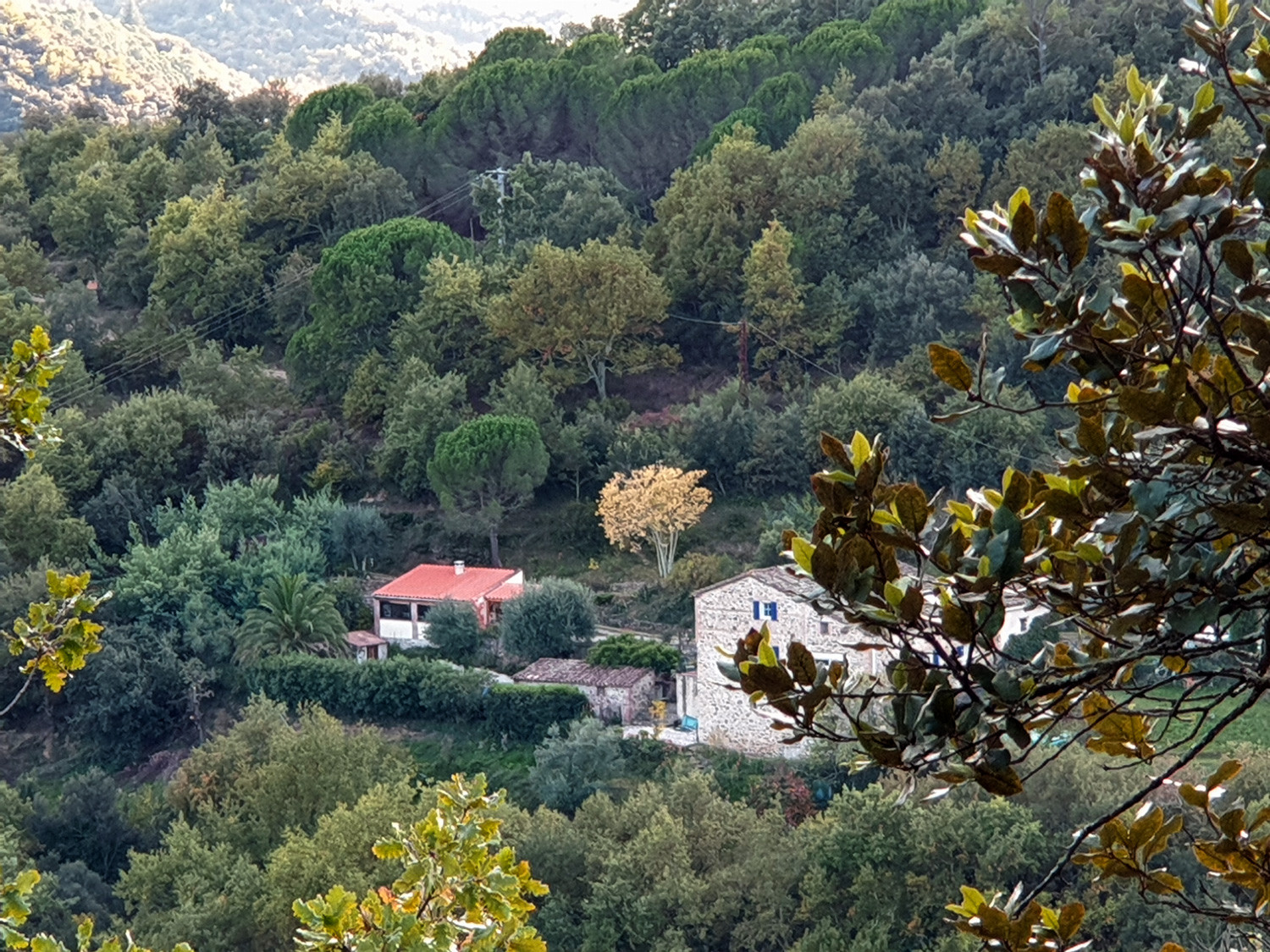 GreenGo location vacances écoresponsables