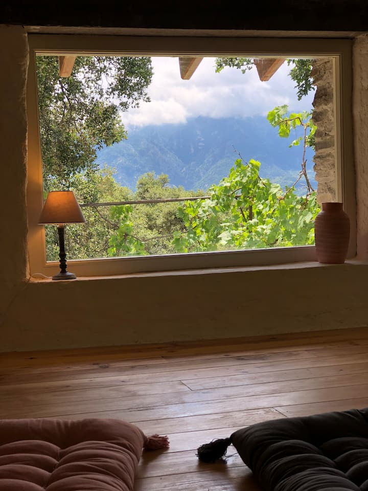 Pyrénées-Orientales En forêt