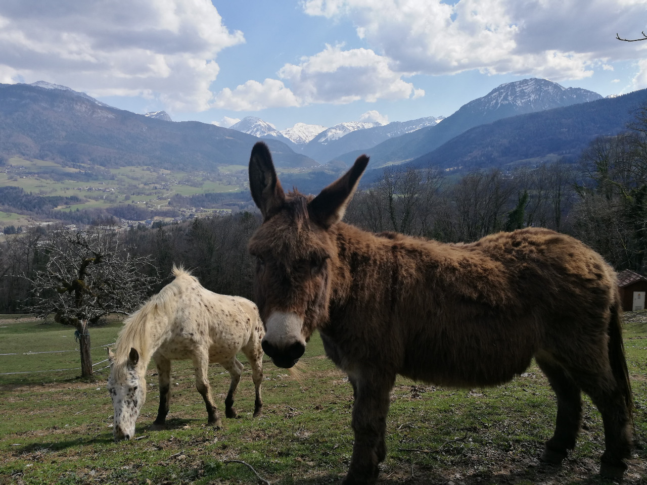  Savoie Haut-de-gamme