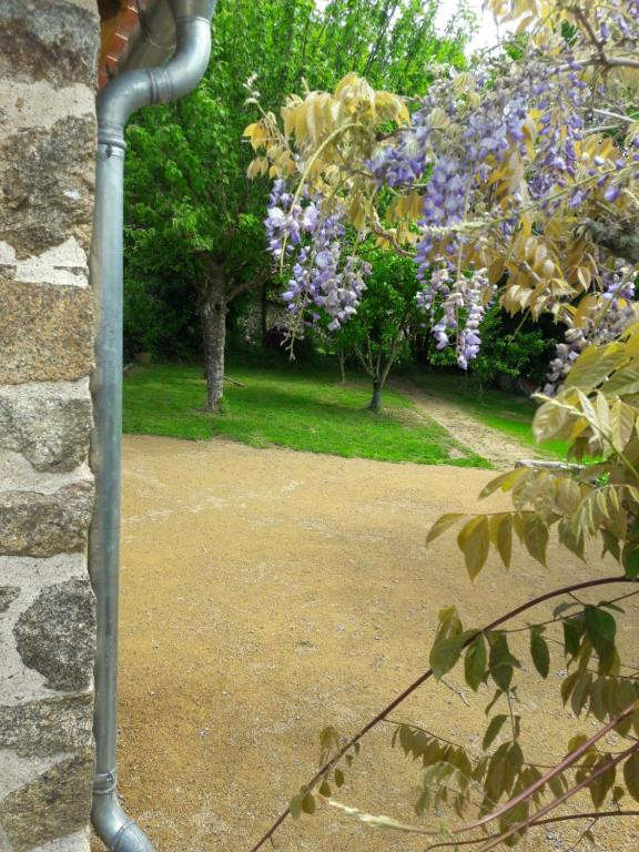 GreenGo location vacances écoresponsables