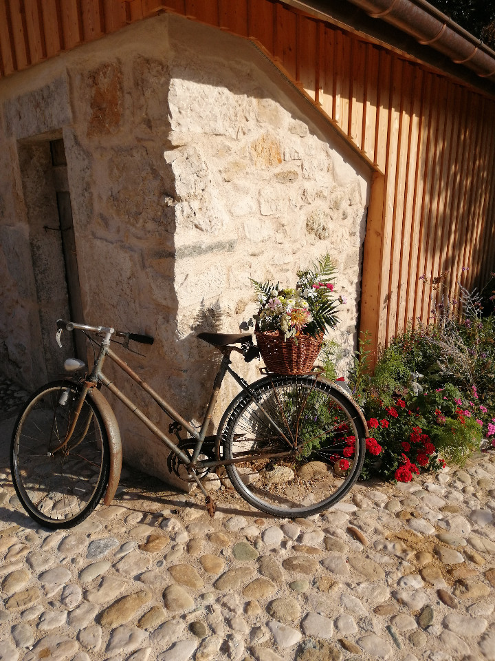GreenGo location vacances écoresponsables