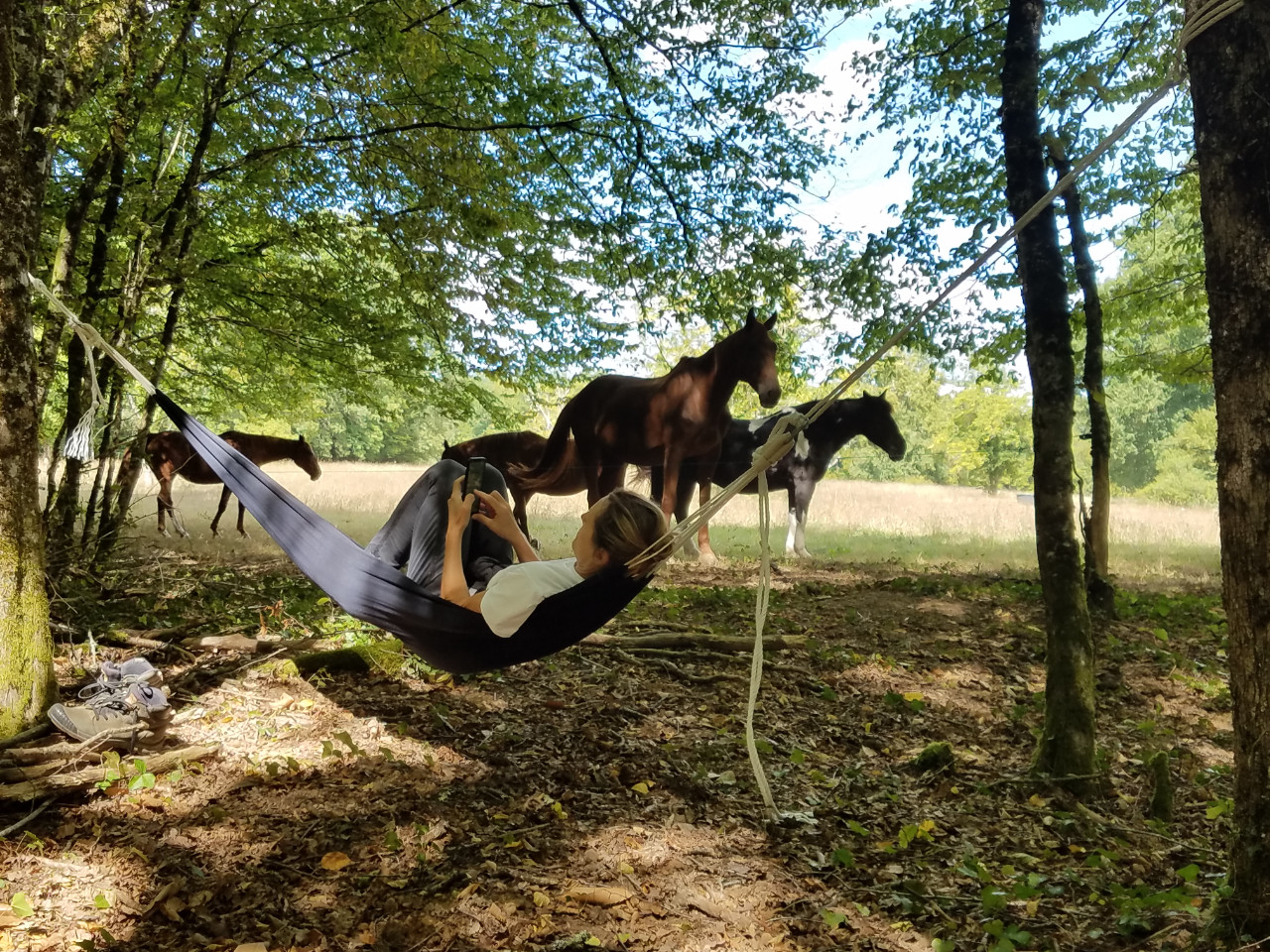 GreenGo location vacances écoresponsables