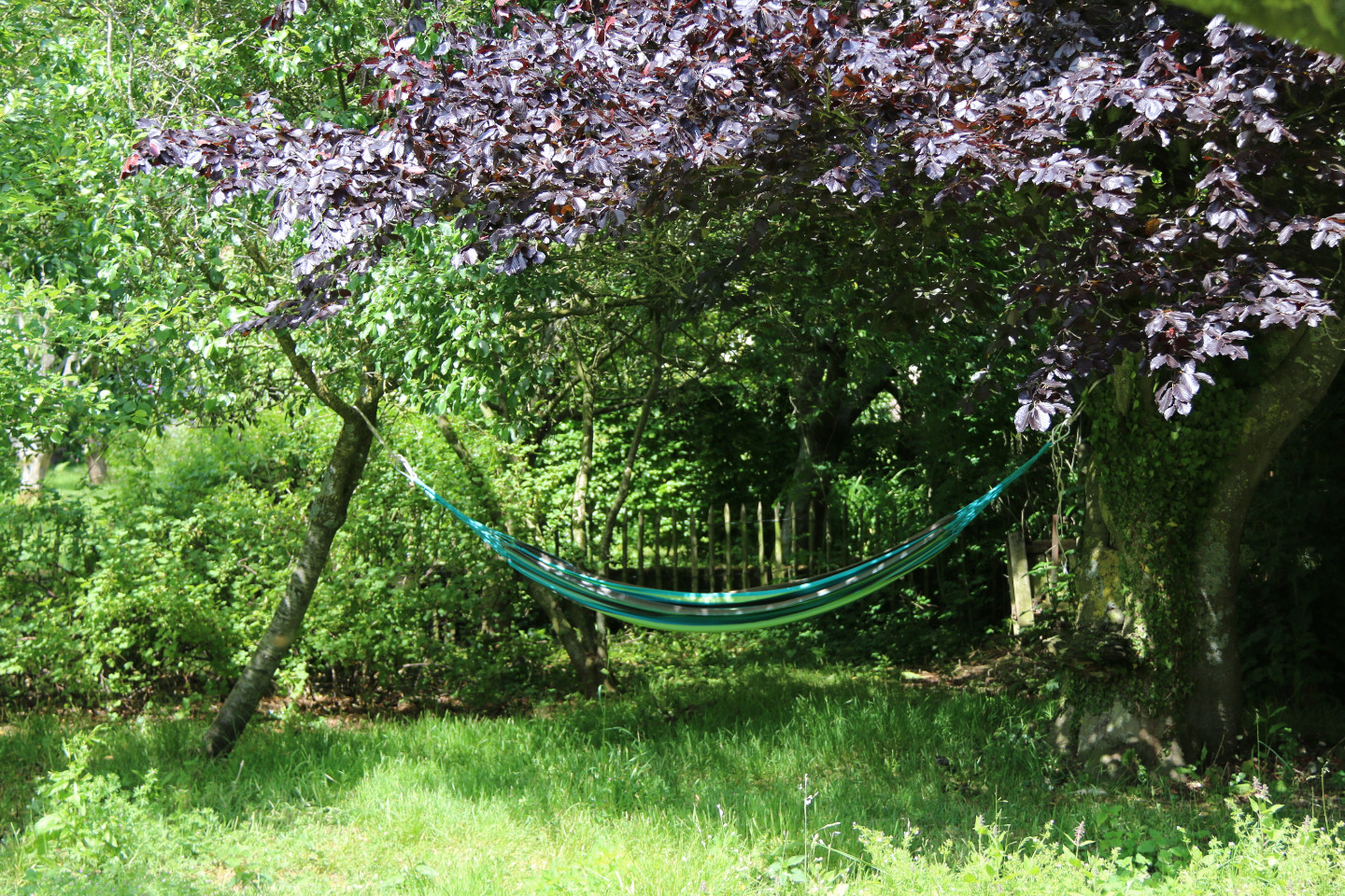 GreenGo location vacances écoresponsables