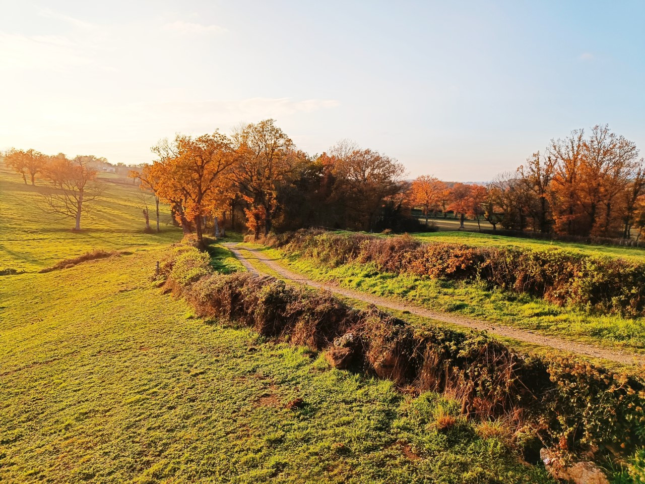 GreenGo Chambre d’hôtes Auvergne-Rhône-Alpes Évasion
