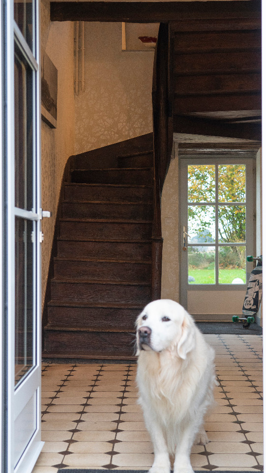 Ille-et-Vilaine Glamping