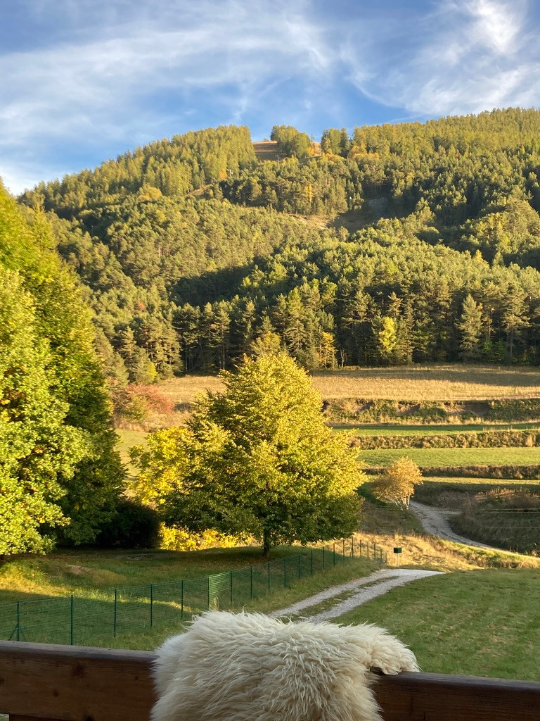 Alpes-Maritimes Haut-de-gamme