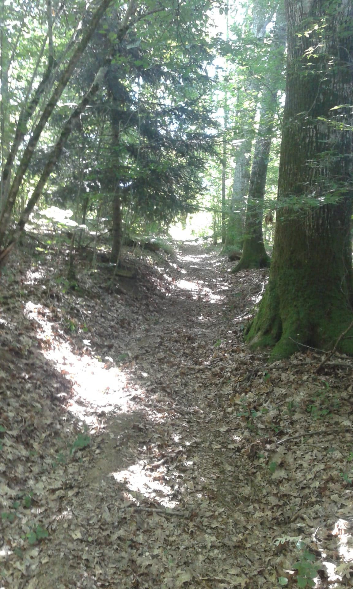 Logement insolite Corrèze Glamping