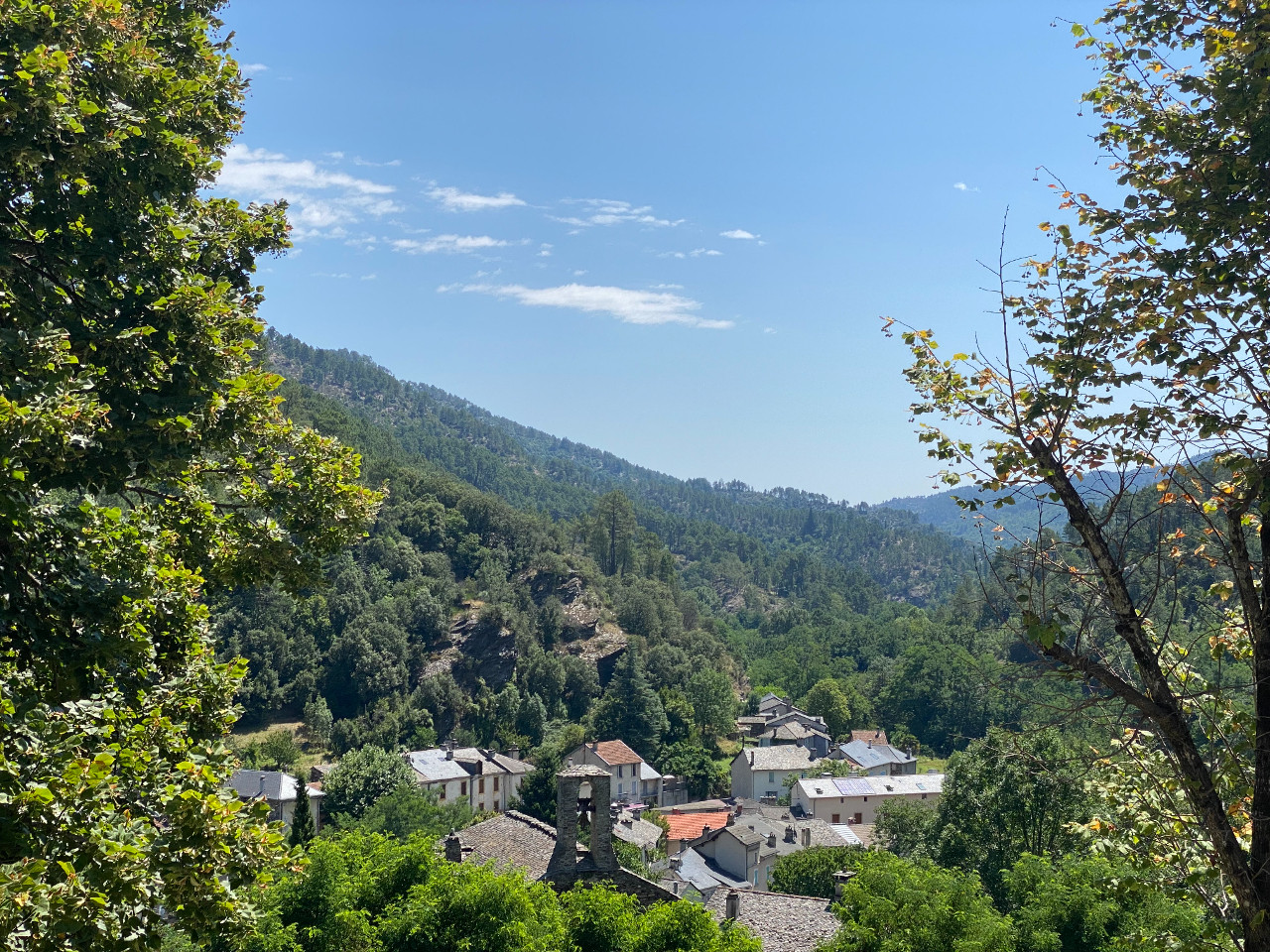 Lozère En forêt