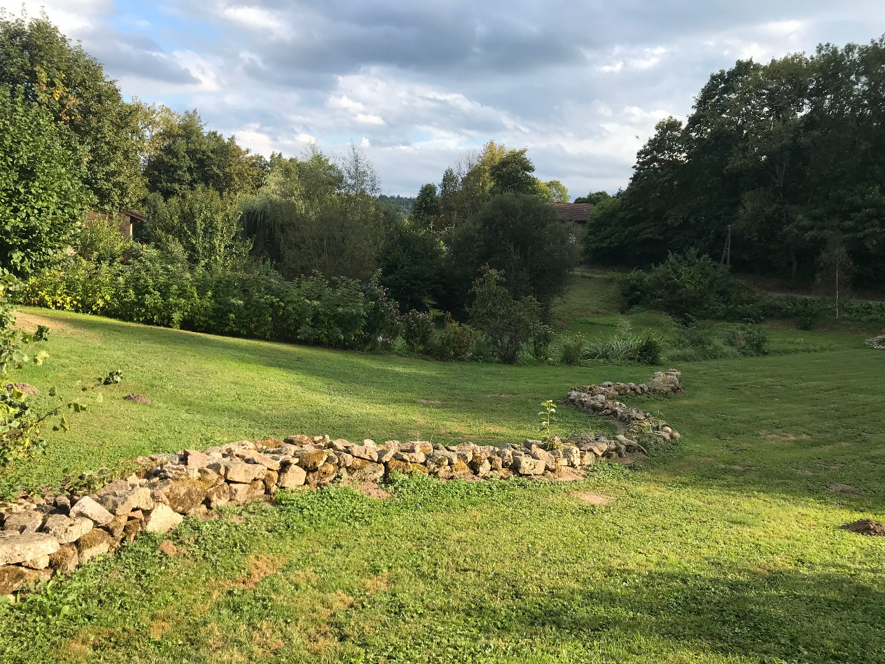  Loire En forêt