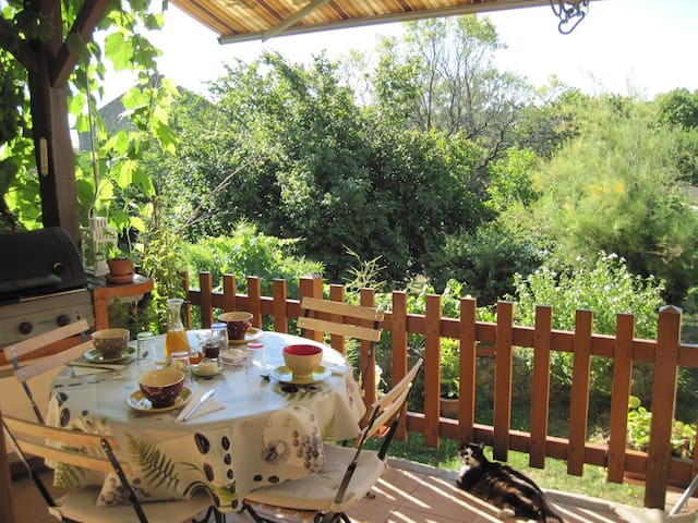  Loire En forêt