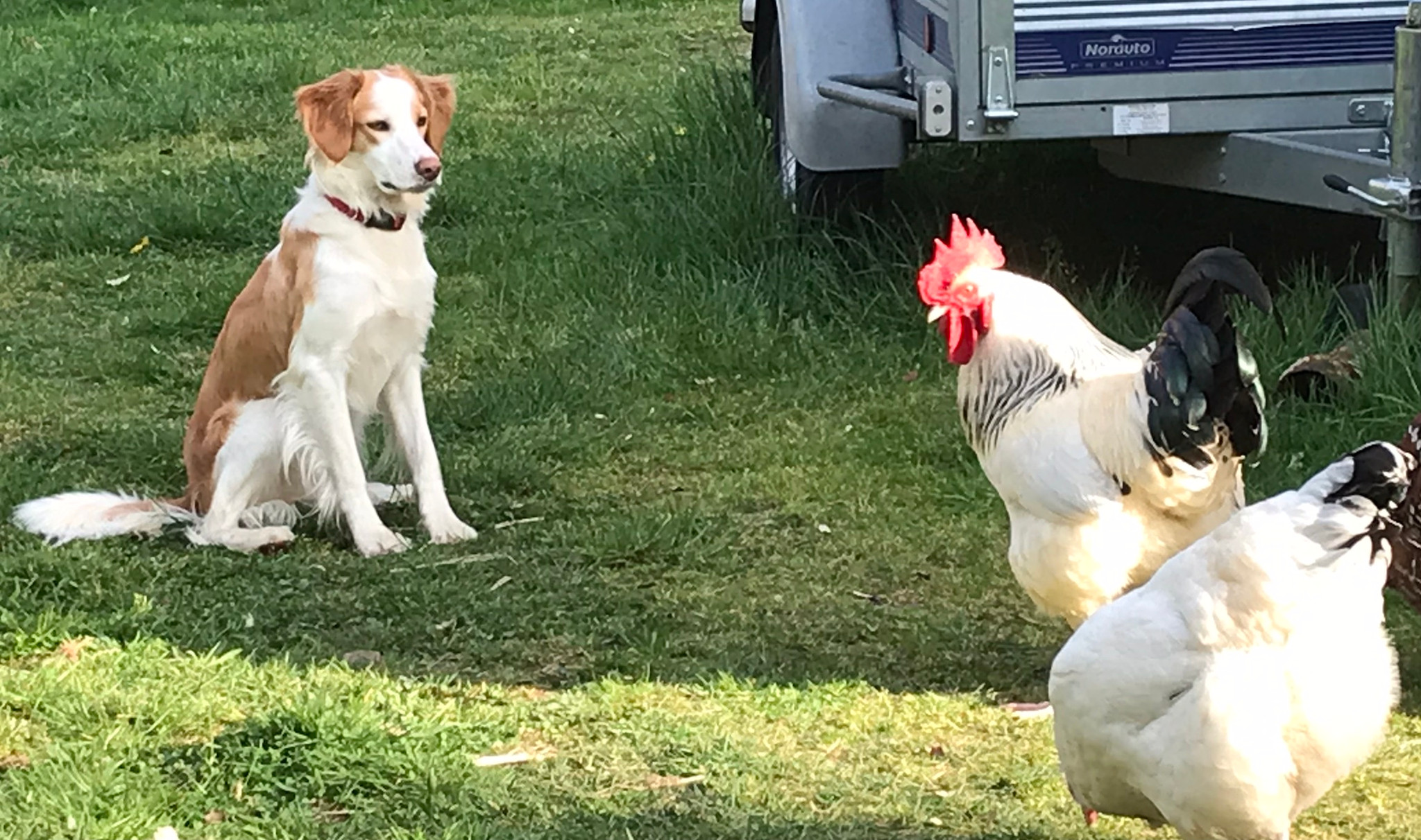  Haute-Vienne Entre amis
