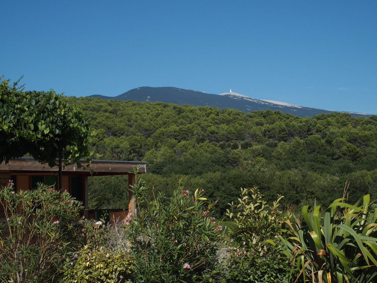  Vaucluse Sportif