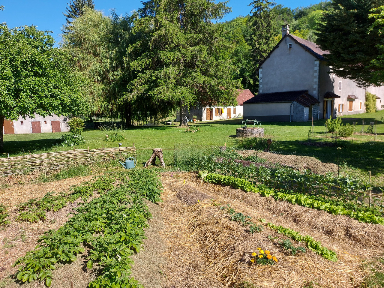 Yonne À la campagne