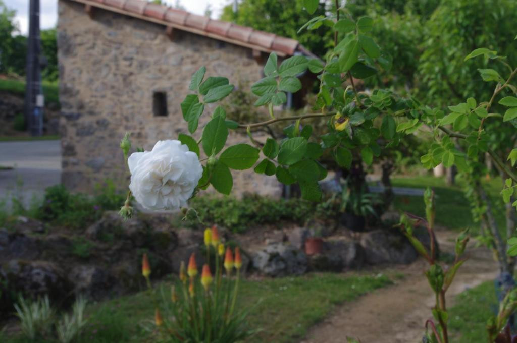 Vendée Haut-de-gamme