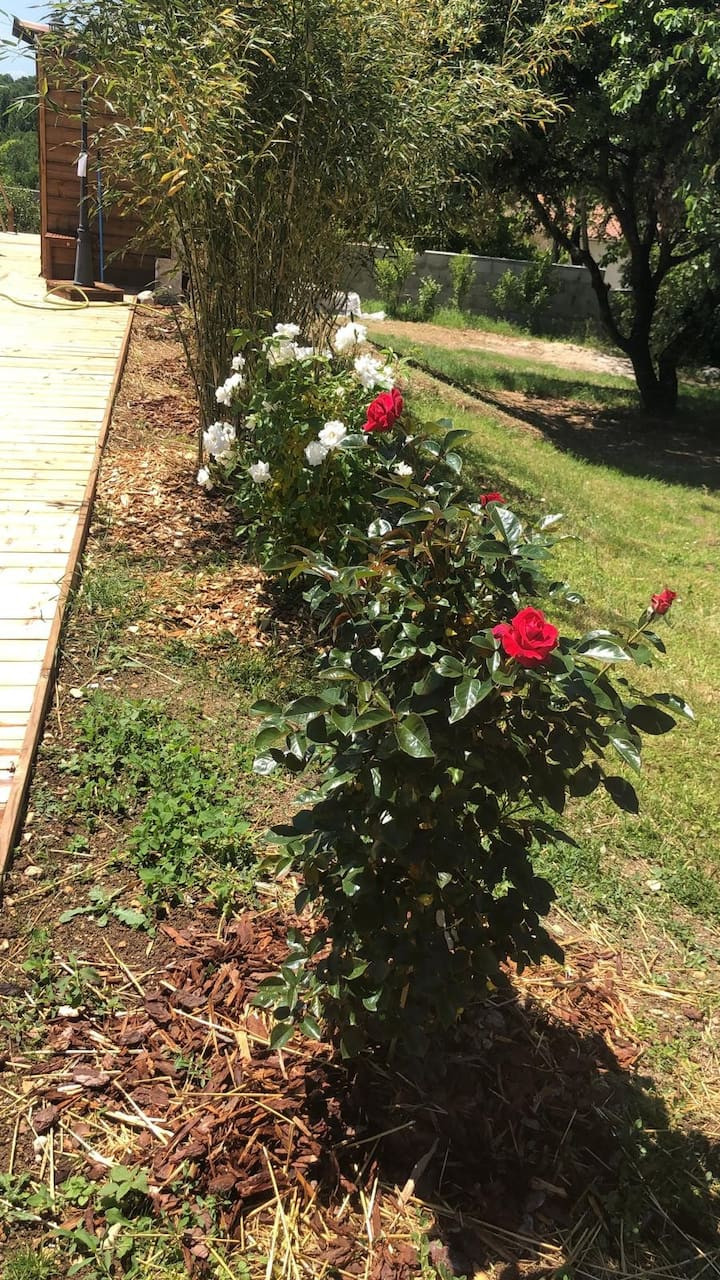 Charente À la campagne