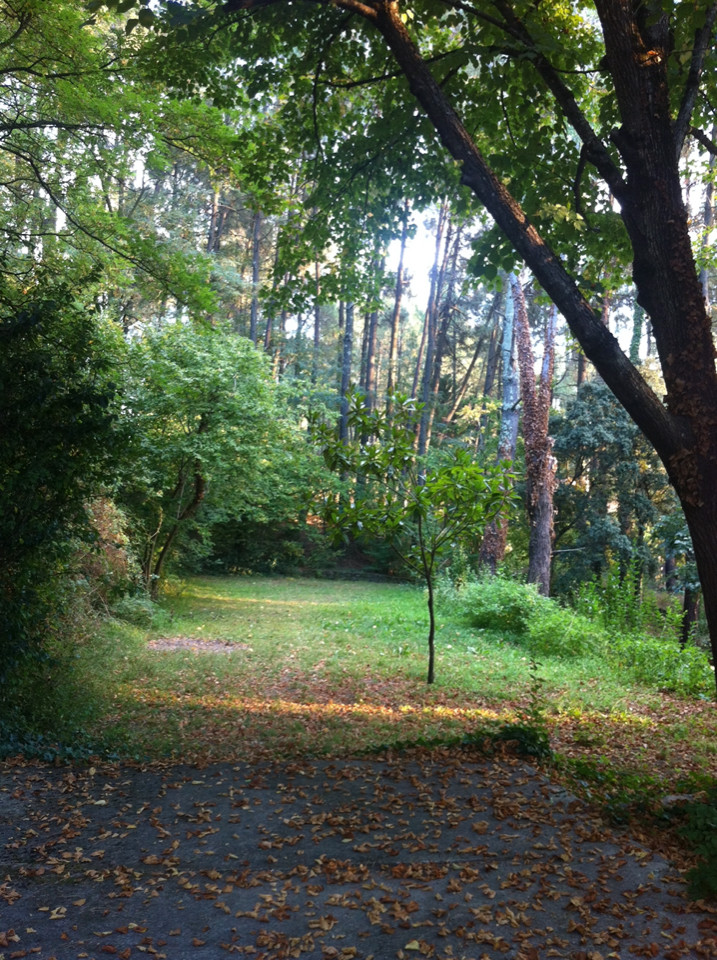 Location Gard À la campagne