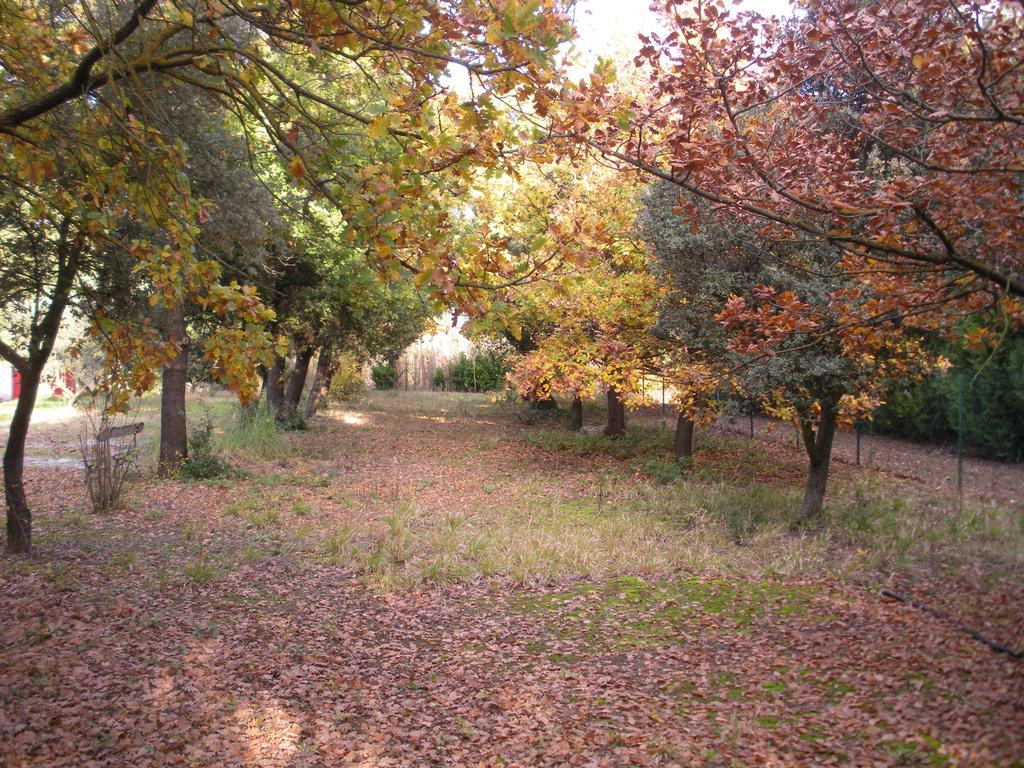 Location Vaucluse Rustique