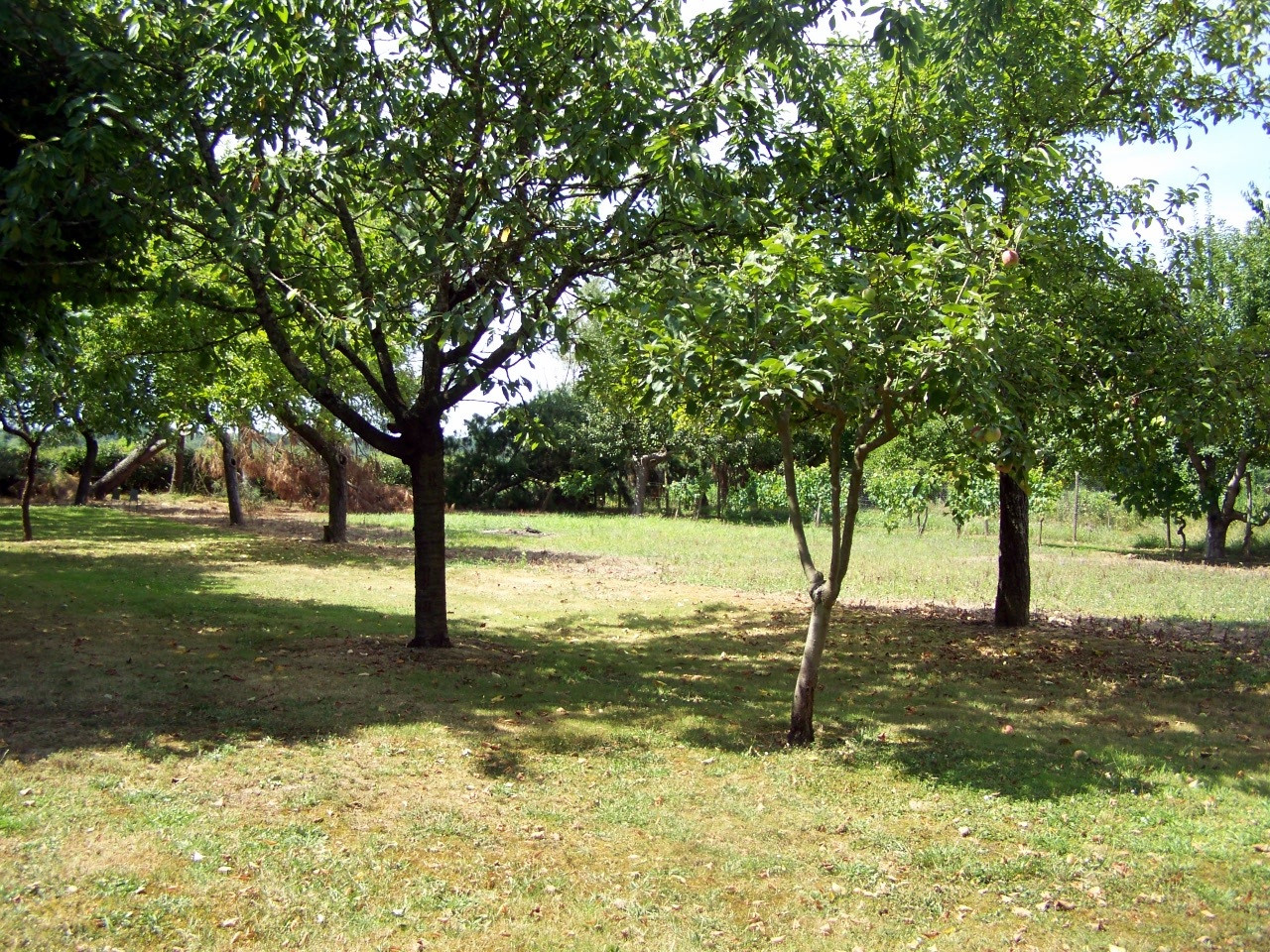 GreenGo location vacances écoresponsables