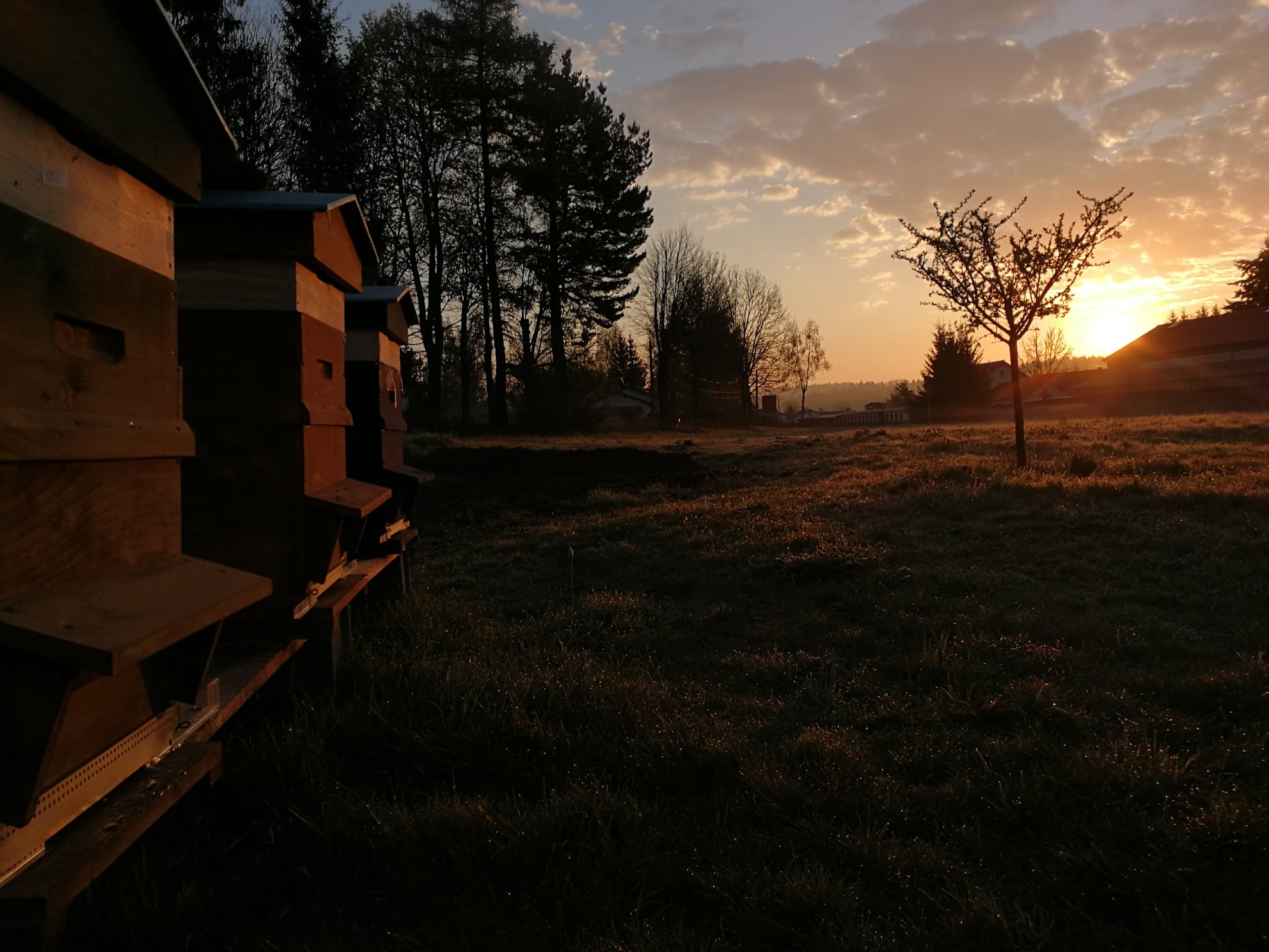  Haute-Loire Entre amis
