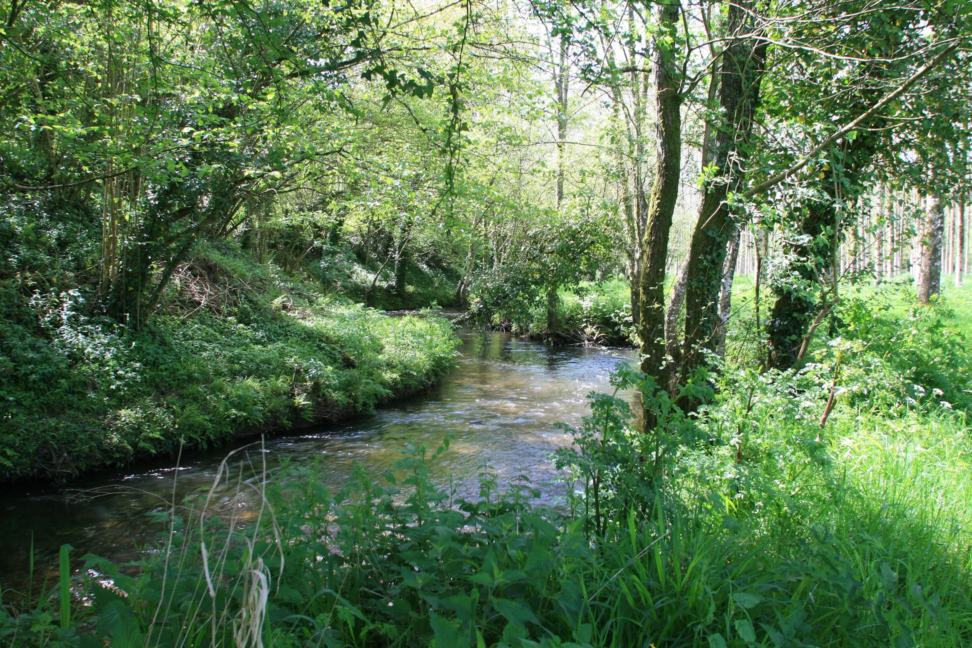 Finistère Entre amis