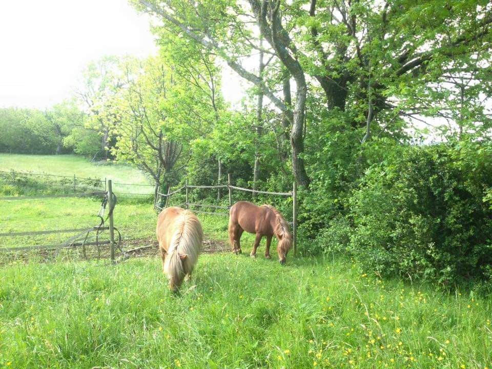 GreenGo Gîte Auvergne-Rhône-Alpes Évasion