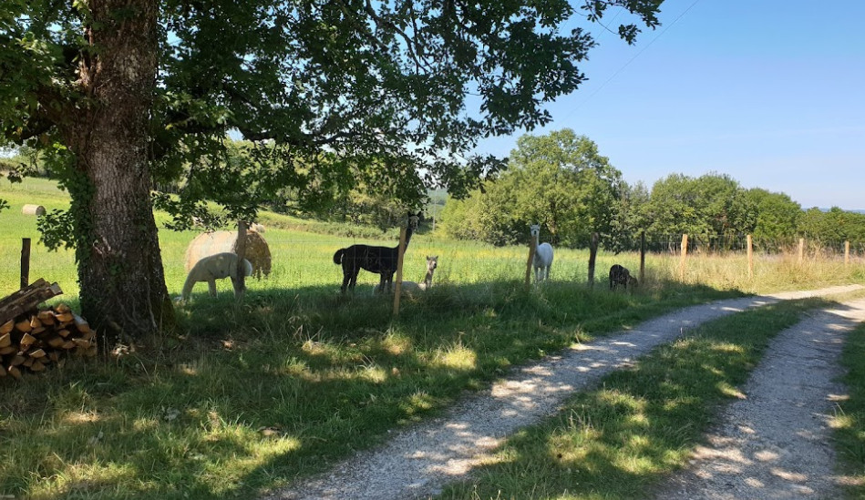 Domaine de la Calprade