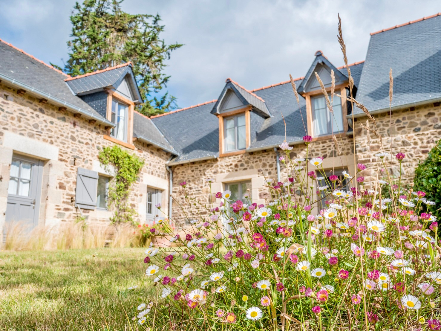 GreenGo Gîte Bretagne Évasion