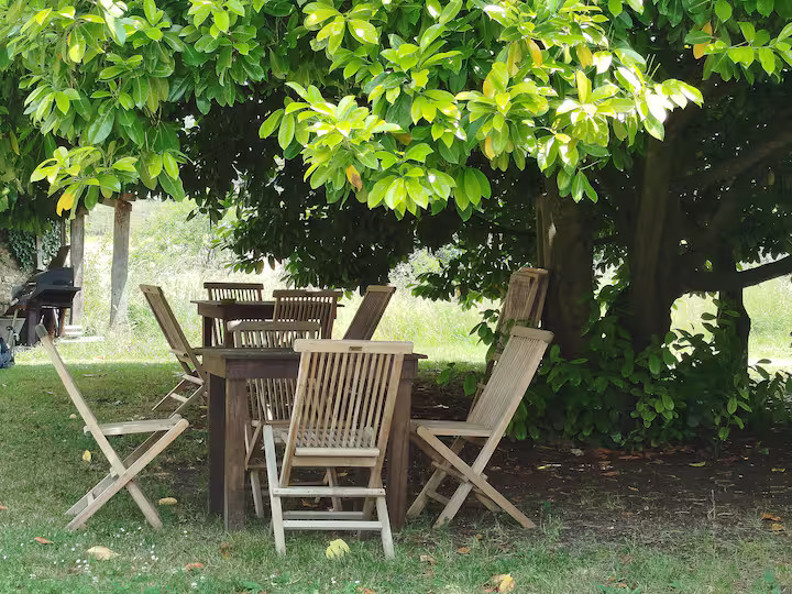 GreenGo location vacances écoresponsables
