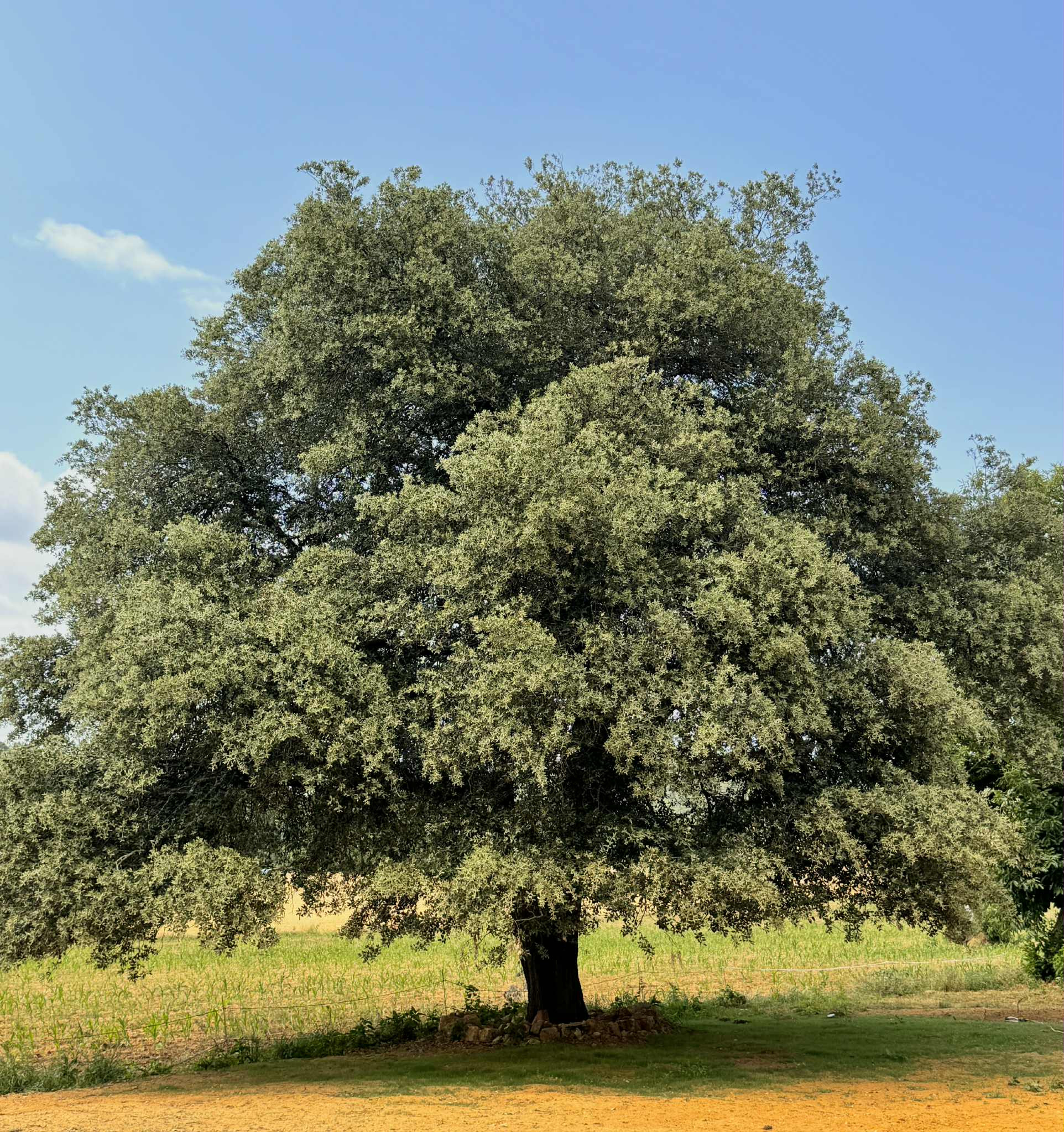 GreenGo Chambre d’hôtes Occitanie Évasion
