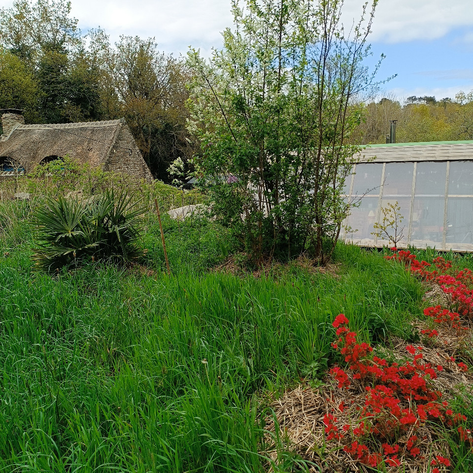 GreenGo location vacances écoresponsables