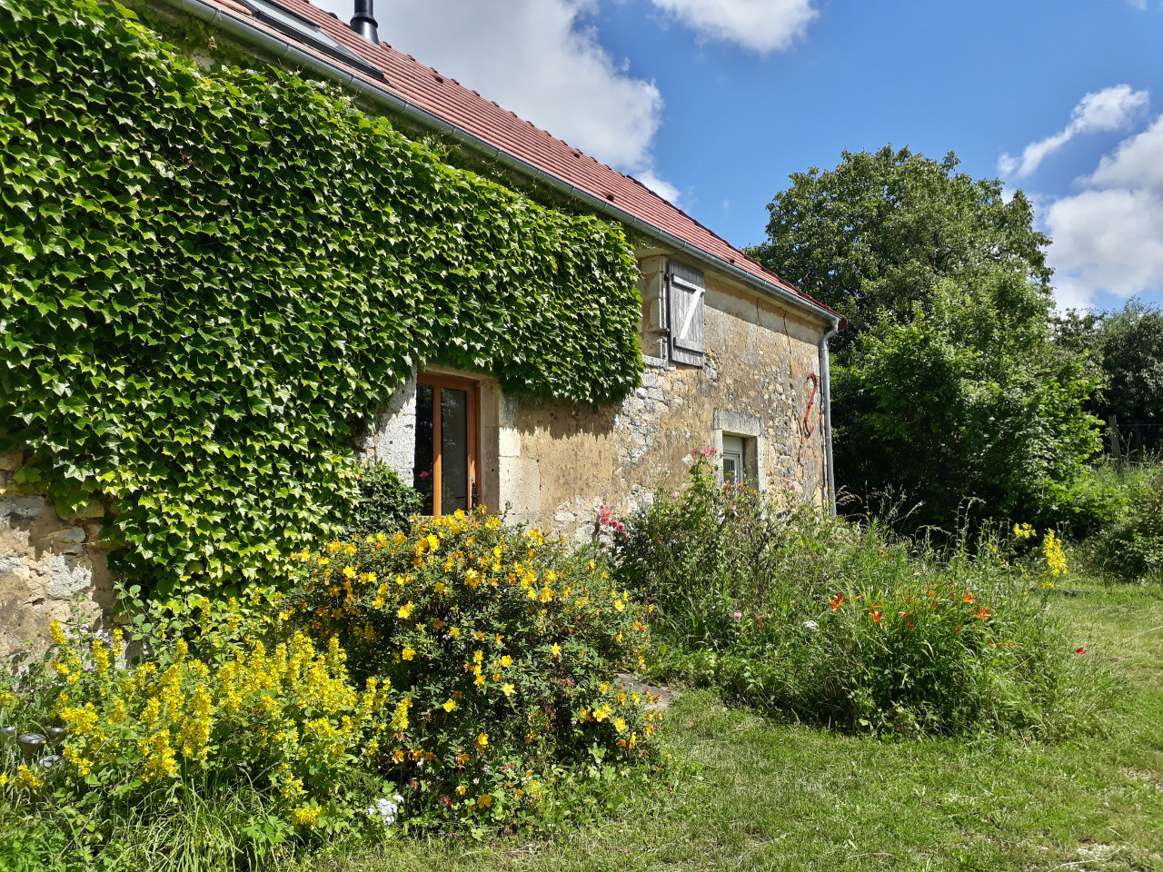 GreenGo Sous les Bois du Haut - Paisible et proche de la nature