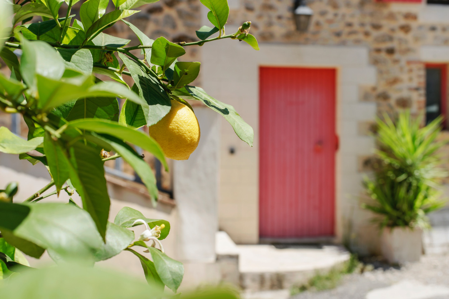 GreenGo Maison Authentique au coeur d'un joli hameau en Cévennes