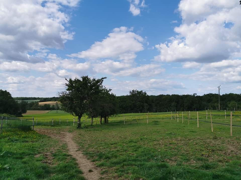 GreenGo Les gîtes de la nouvelle vie