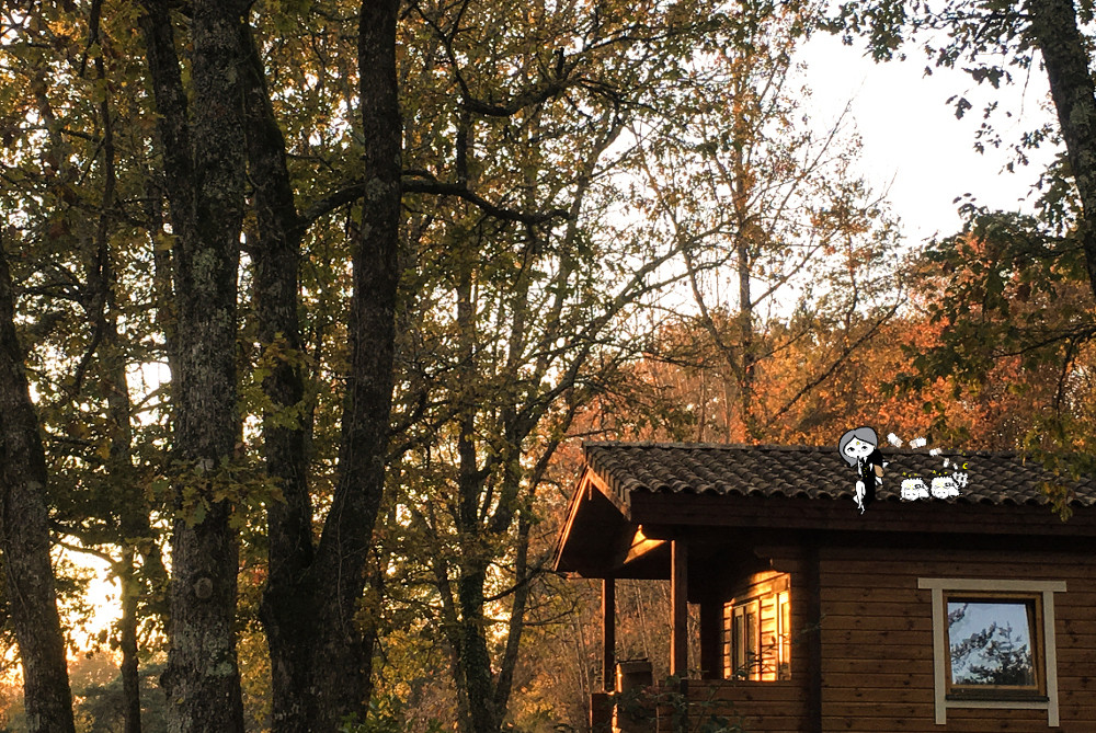 GreenGo location vacances écoresponsables
