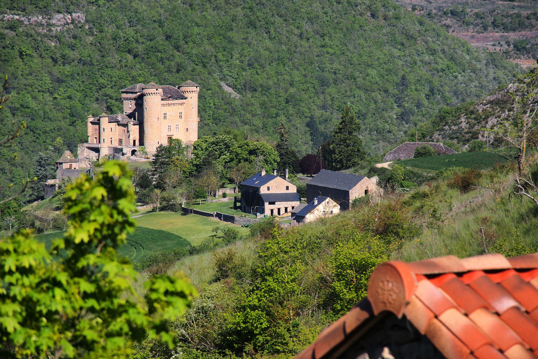 Hôte GreenGo: Le grand Gîte de Cabrières et sa roulotte