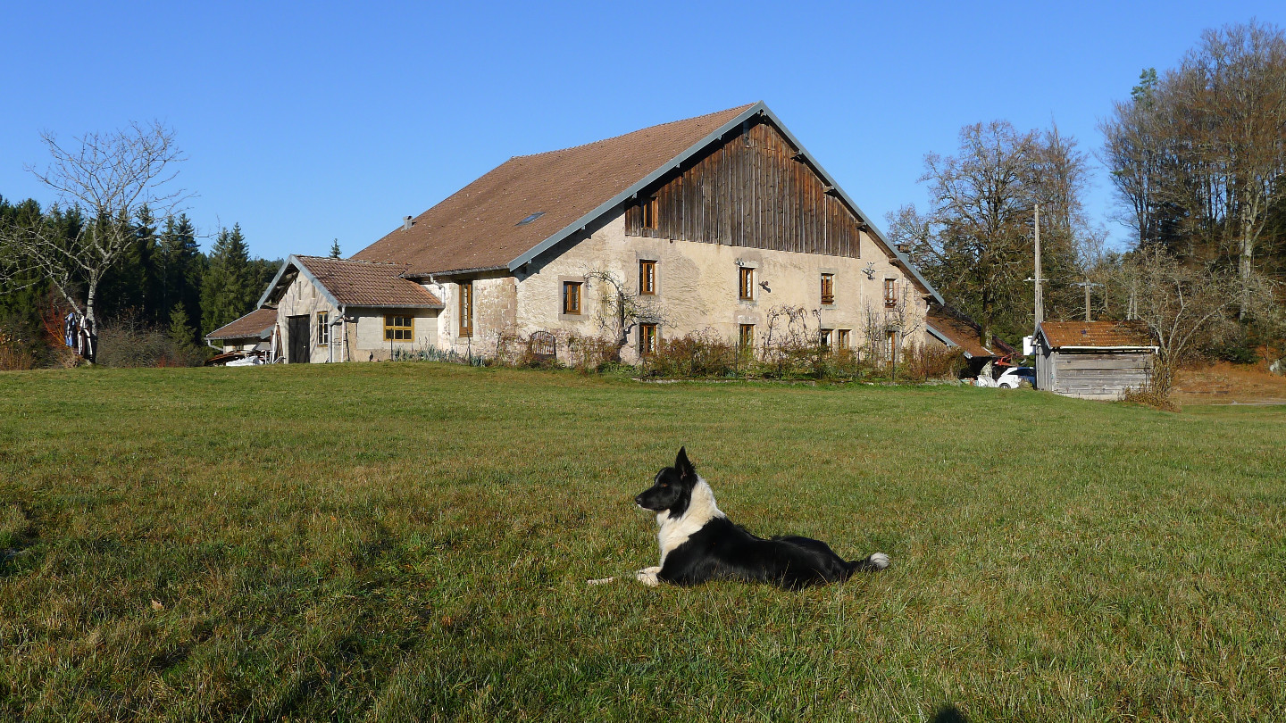Hôte GreenGo: Les chambres d'hôtes de la Ferme aux Moineaux