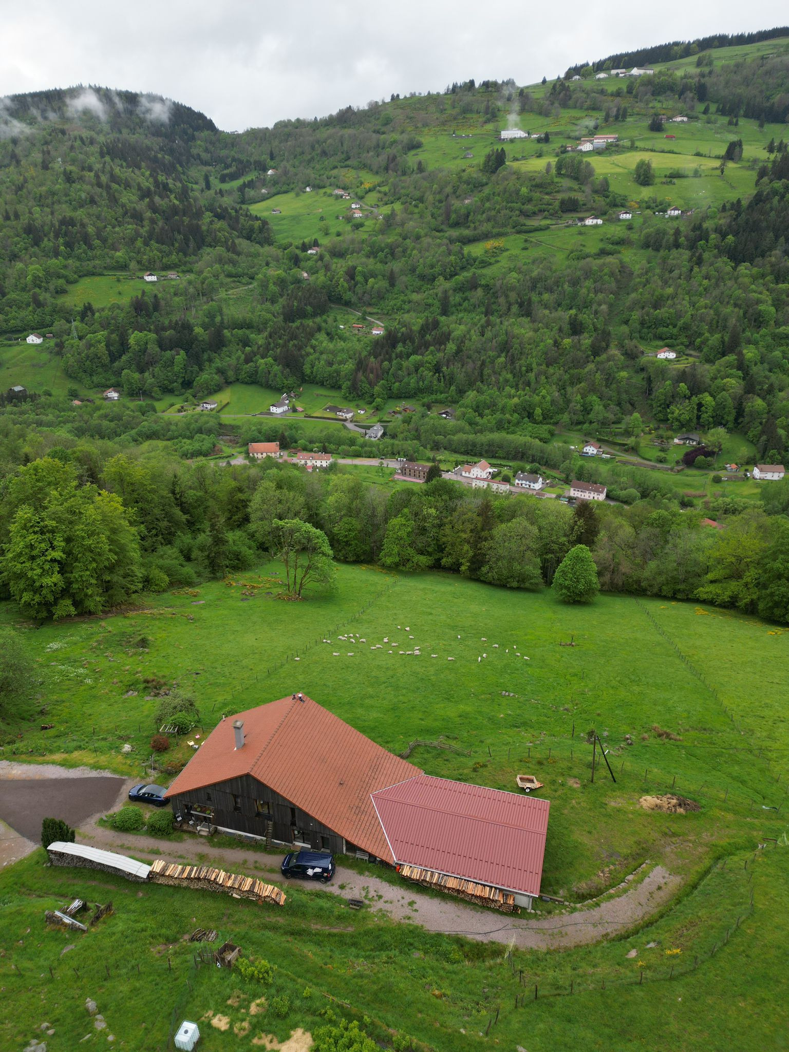  Vosges En forêt