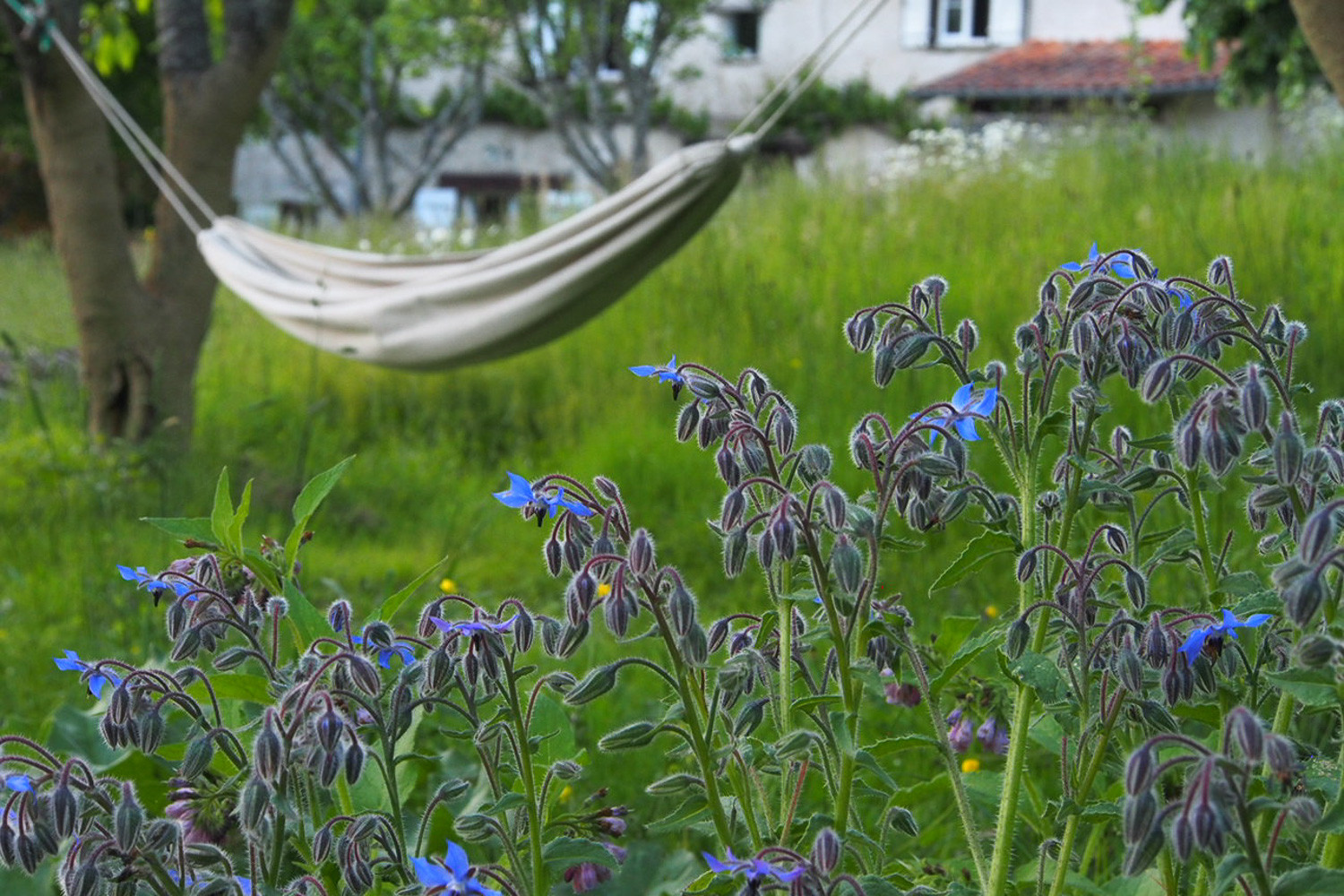 GreenGo location vacances écoresponsables