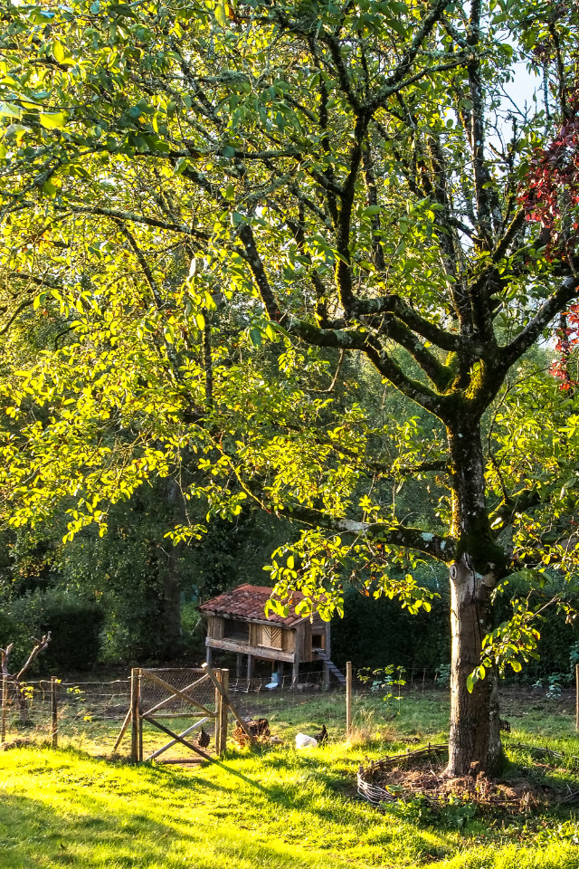 GreenGo La Ferme des Simples - plantes aromatiques et médicinales