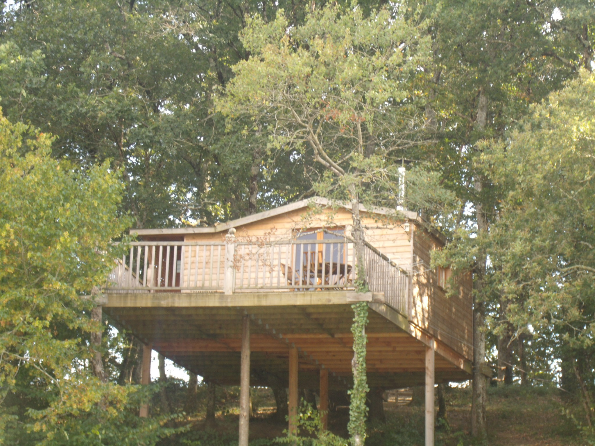 Hôte GreenGo: Cabane Anne