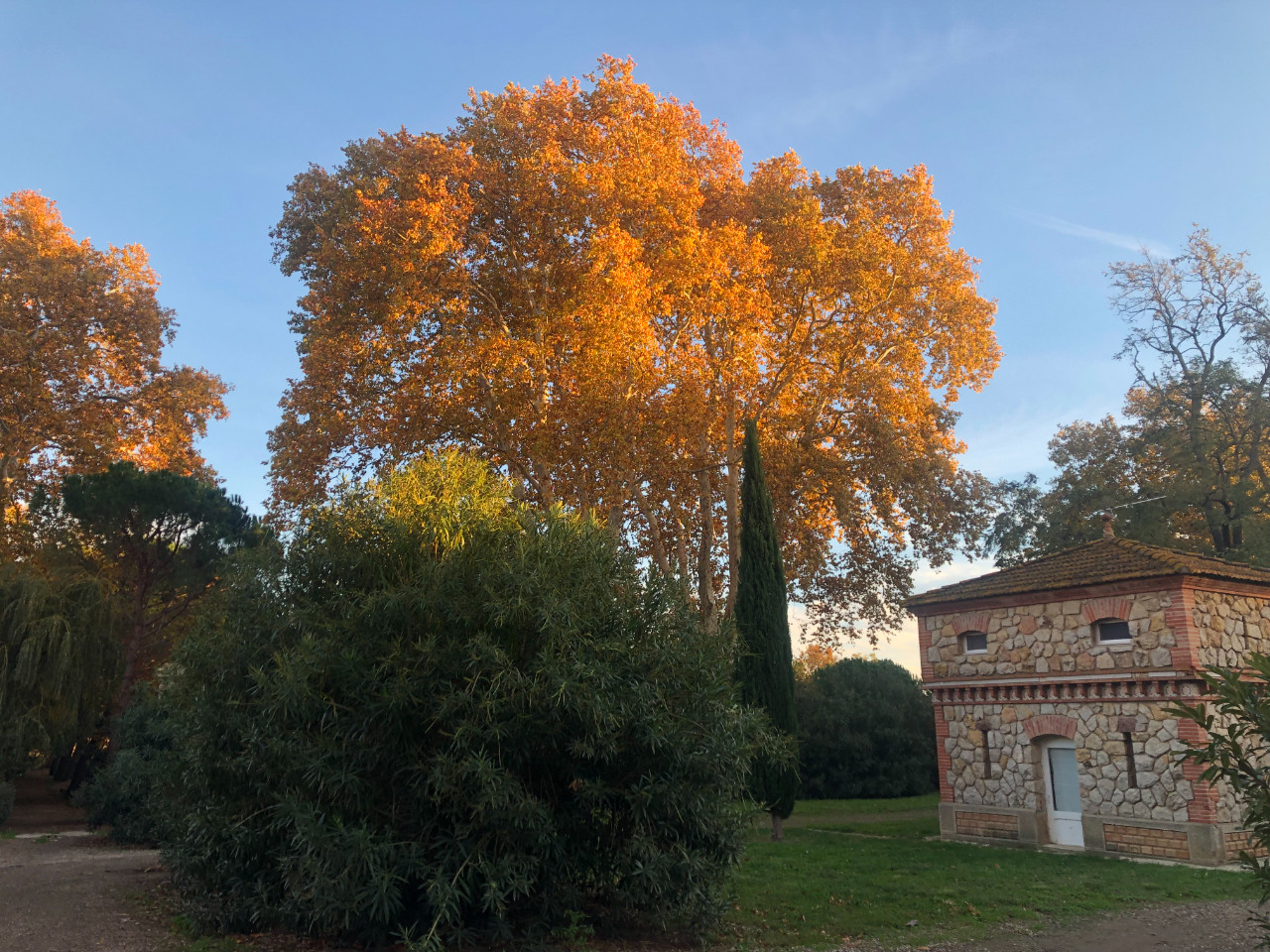 Location Aude Haut-de-gamme