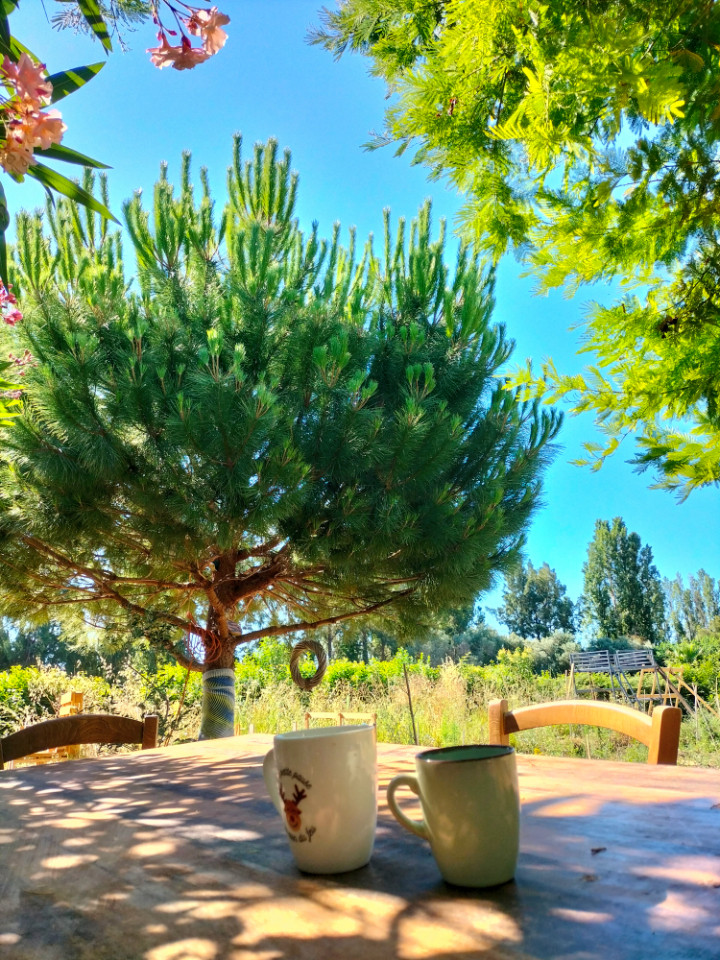 GreenGo Camping Provence-Alpes-Côte d'Azur Glamping
