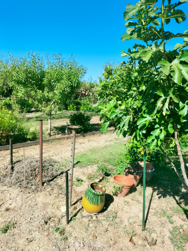  Var À la campagne